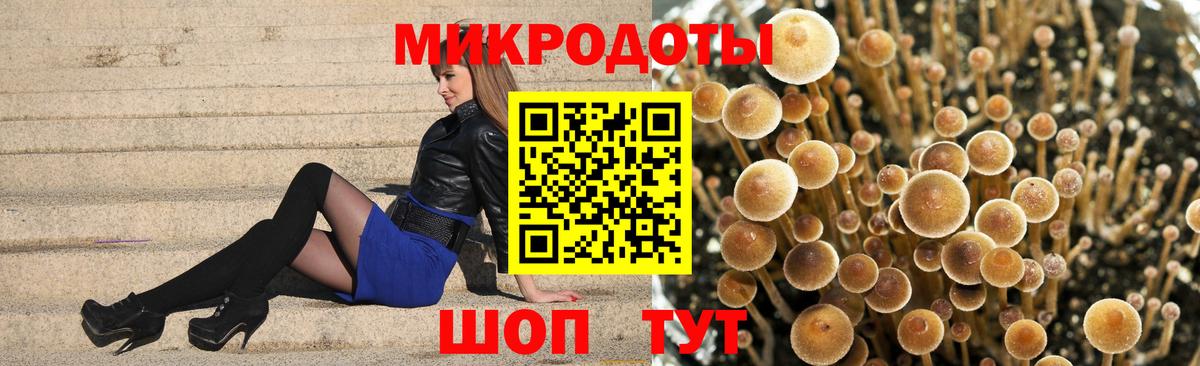 Каменка  купить наркоту  Псилоцибиновые грибы Psilocybine cubensis  Вход с VPN  Галлюциногенные грибы ЛСД 