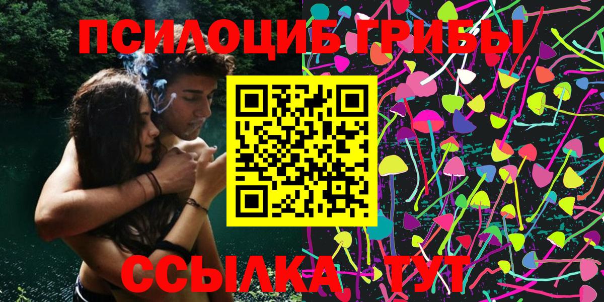 Псилоцибиновые грибы Cubensis Каменка
