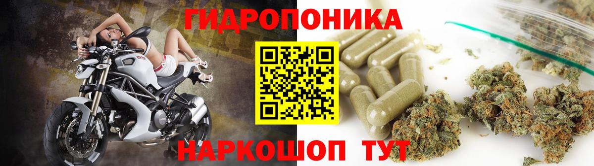 Канабис White Widow  Вход с VPN  МАРИХУАНА гибрид  Каменка 